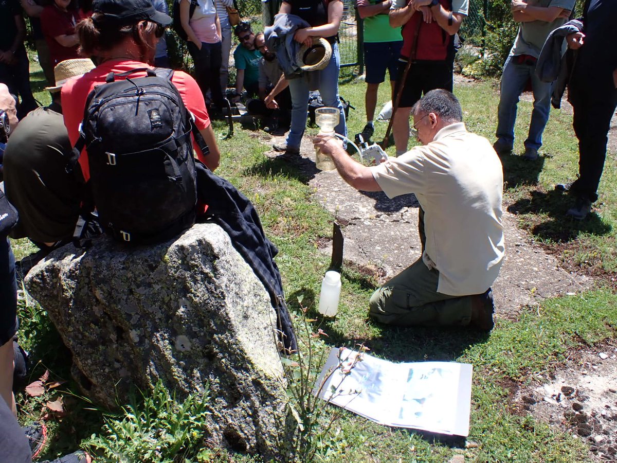 En el marc del Congreso Forestal <a href="/congresoforesta/">Congreso Forestal Español</a> avui Emilio O Casamayor <a href="/ceabcsic/">CEAB-CSIC</a> ha presentat el projecte LTER Aigüestortes entre d'altres temes de recerca 👏🏻👏🏻👏🏻