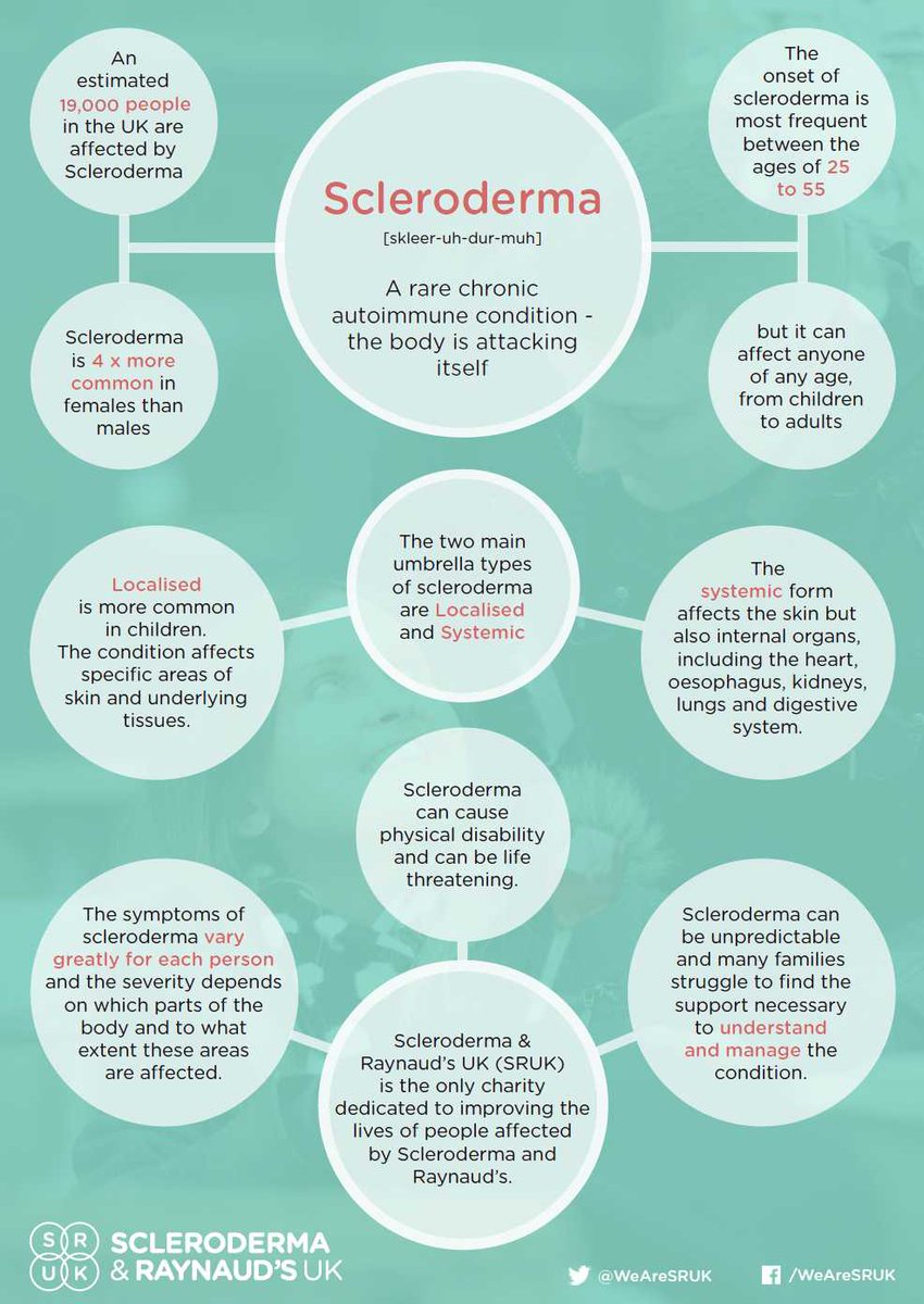 Ellie Ann tweet media