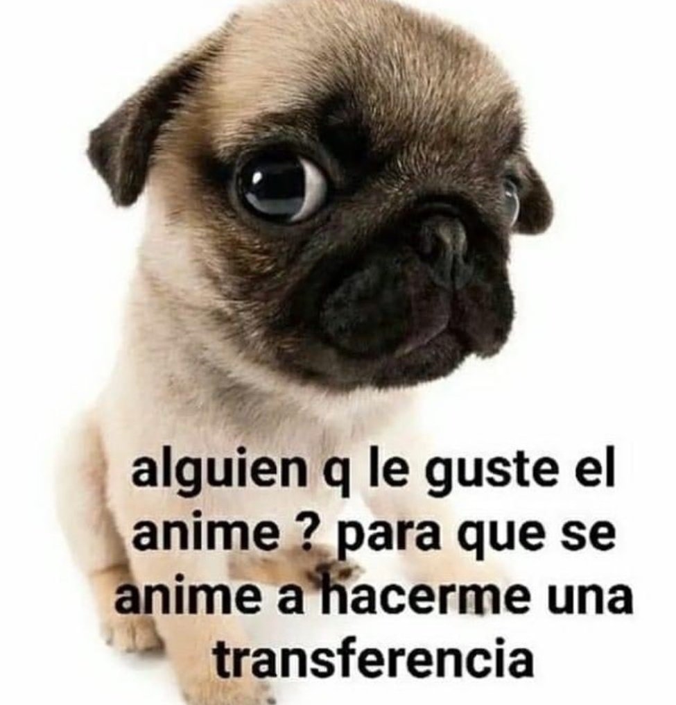 Lo que sea la voluntá 🤣