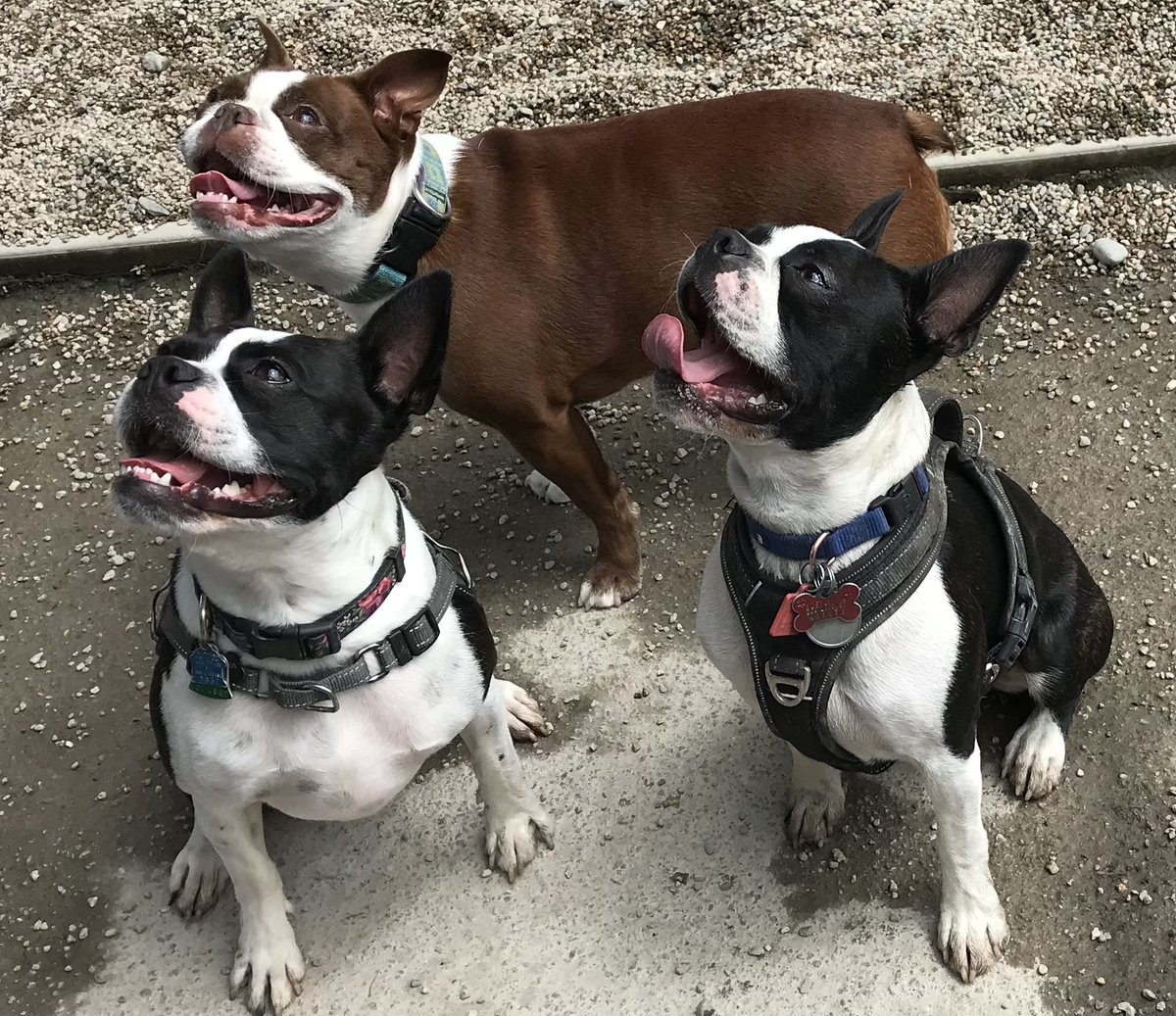 #MINUTEMANHS TO OPEN ANIMAL CLINIC:

Minuteman High School and Boston Veterinary Clinic will collaboratively open an animal clinic on the Lexington campus in 2023. Students in Minuteman's Animal Science program will work with professional staff. 

MORE: buff.ly/3a32j3i