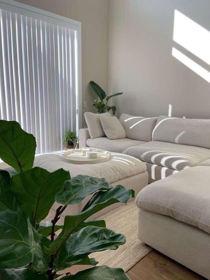 fromkyahseyes's tweet photo. Indoor P L A N T S🌿 https://t.co/5z7iYaBB0J