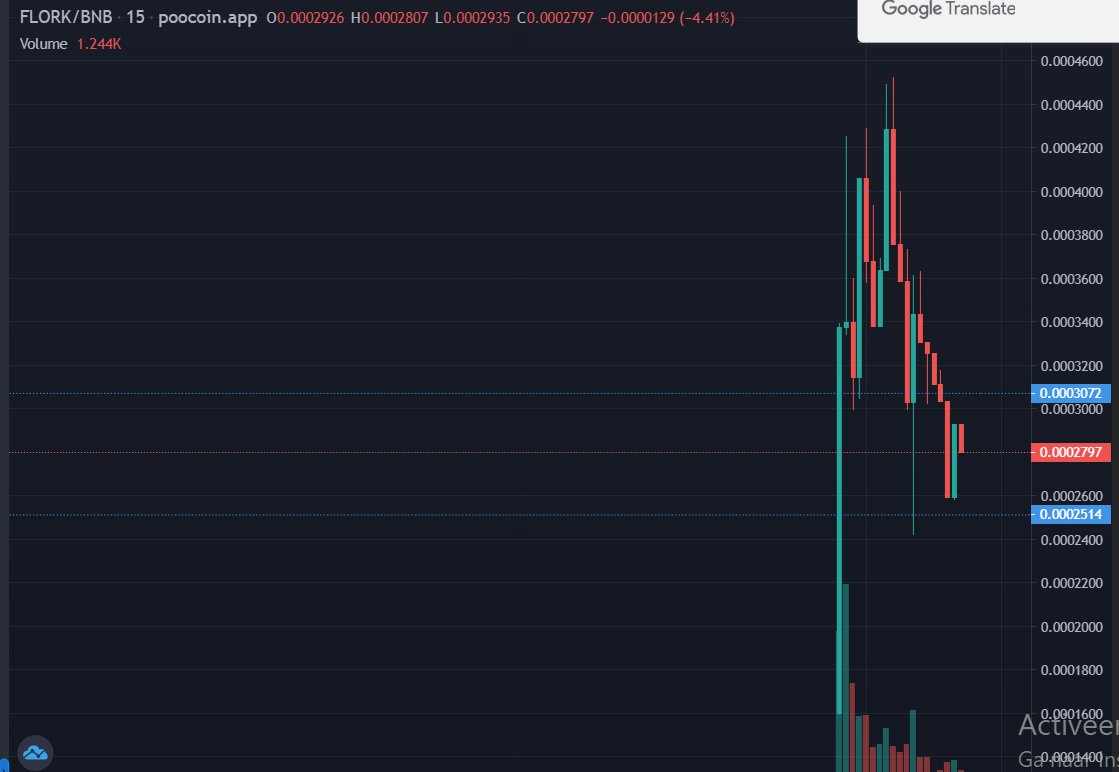 FLORK TOKEN (@FLORKtoken) / Posts / X