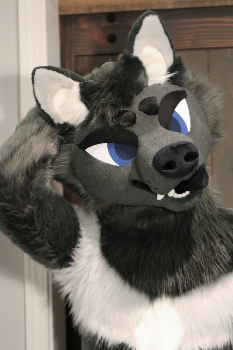 hounds_teeth's tweet photo. completed suit for @SignisAkanades !! done a few months ago, but I've been a little behind with my collages 🐺💕 https://t.co/vfP6c8ycbl