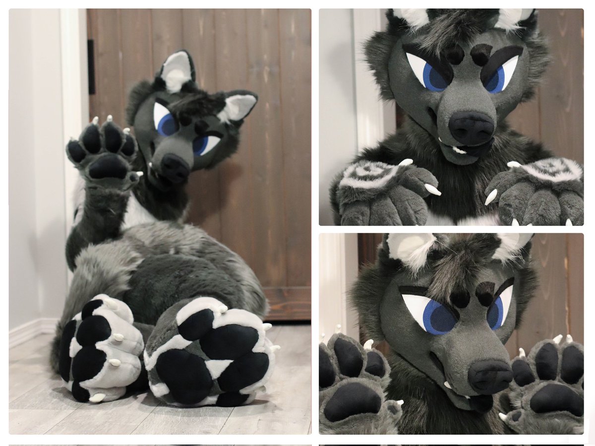 hounds_teeth's tweet photo. completed suit for @SignisAkanades !! done a few months ago, but I've been a little behind with my collages 🐺💕 https://t.co/vfP6c8ycbl