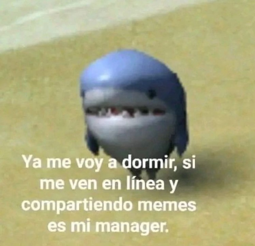 paracetamor's tweet photo. https://t.co/pkQ1SrR1yP