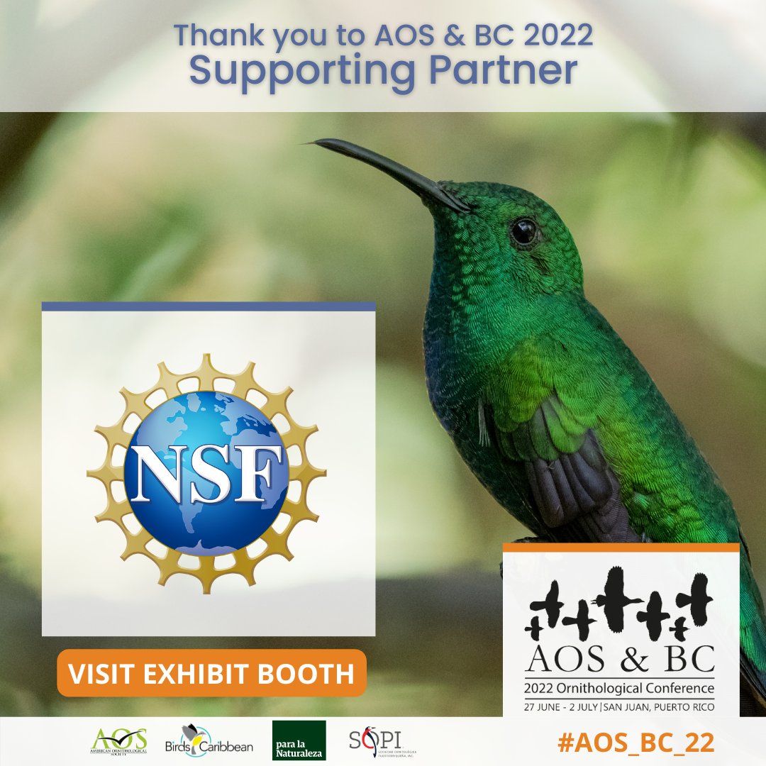 Special thanks goes out to our #AOS_BC_22 supporting partner, the @NSF. Visit with representative @mattdcarling to ask any & all questions you may have about the NSF at their booth in our Exhibit Hall! meeting.americanornithology.org/sponsors-exhib… @BirdsCaribbean @Aves_PuertoRico @paralanaturalez