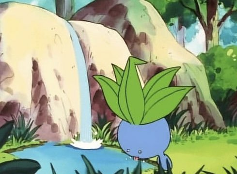 PokemonGems's tweet photo. Oddish takes a sippy sip https://t.co/1yJxqO4mZh
