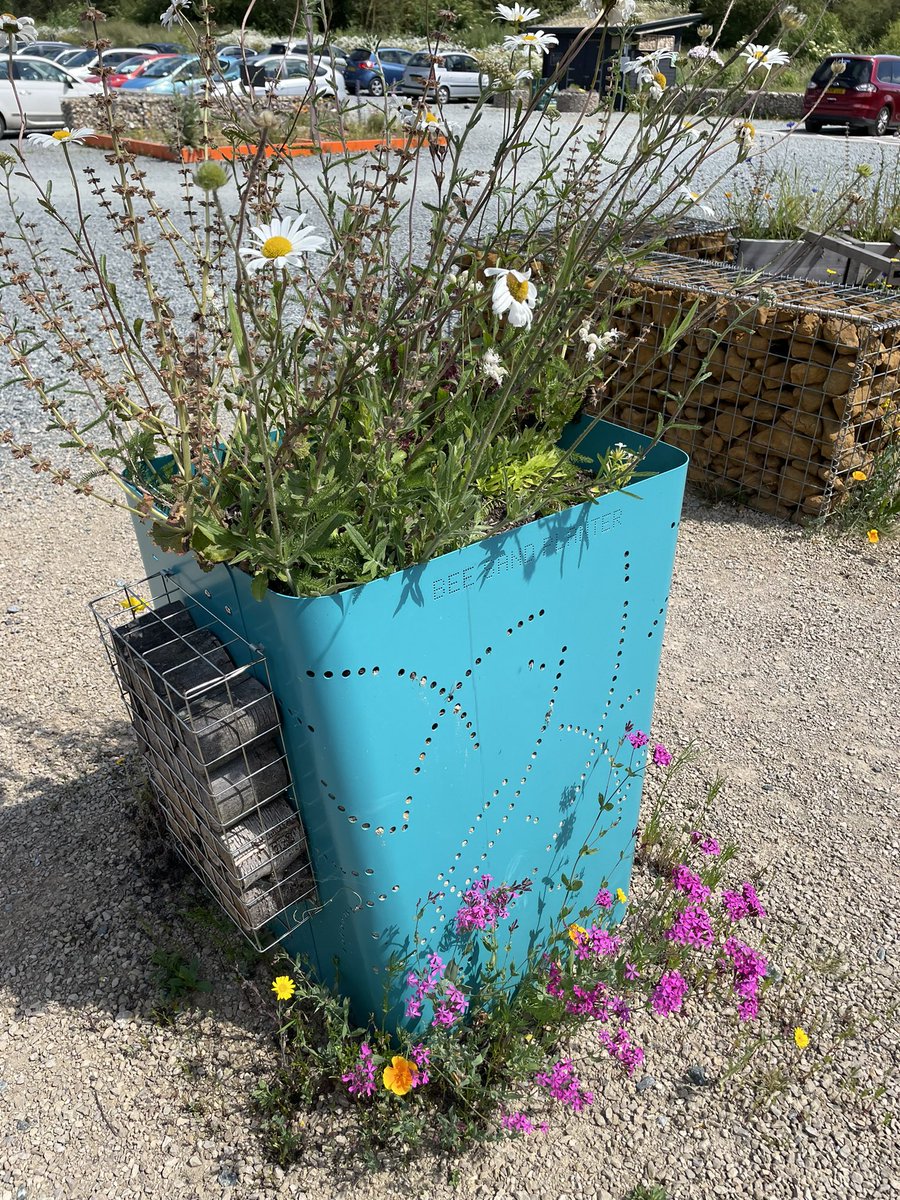 One of our bee planters. Part of the car park we designed and built for the Essex wildlife trust at Langdon