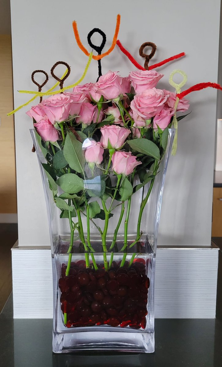BobQuadratic's tweet photo. Took my student out for icecream and received a bouquet. Quadratic Bob and friends jumped right in! #iteachmath @Scholastic @ScholasticTeach https://t.co/HVyAVnHPeO