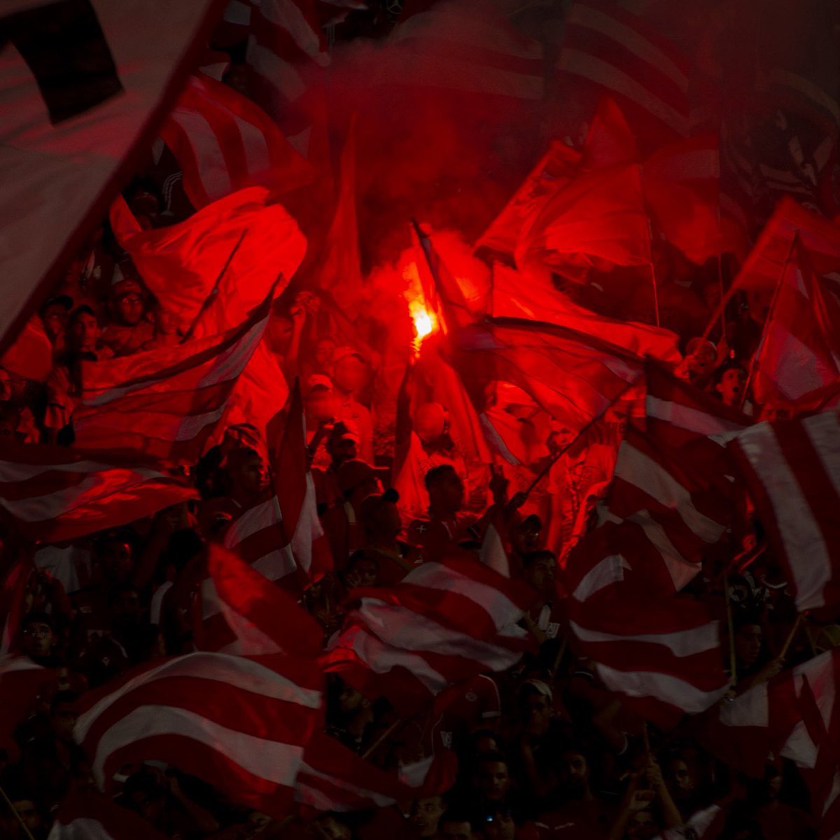 We’re the champs 🔴⚪️
 22🏆
<a href="/WACofficiel/">Wydad Athletic Club</a> the eternal love ♥️
#champions #wydad #wac
