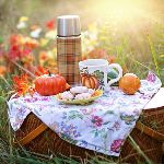 News and services for July - mailchi.mp/e7818e69ff7e/n…