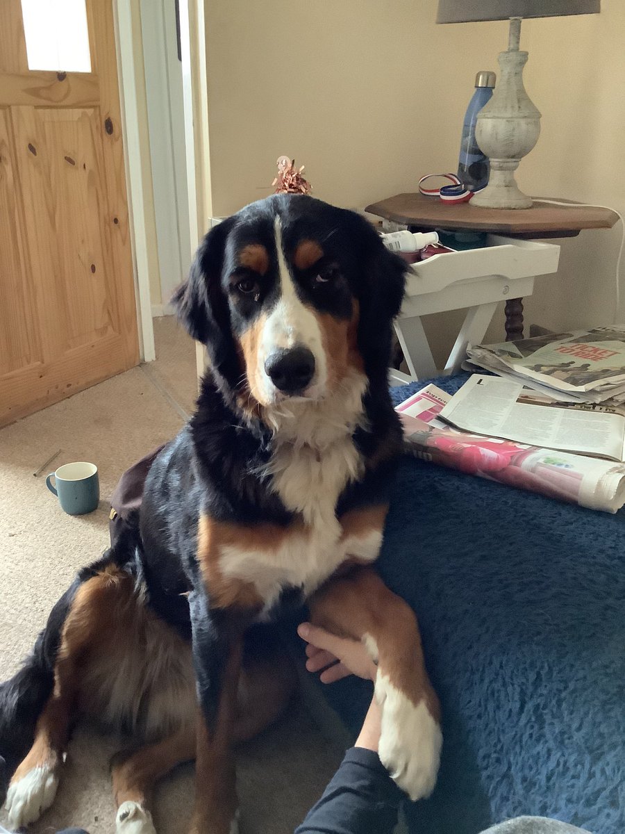 Mugginton CE tweet media