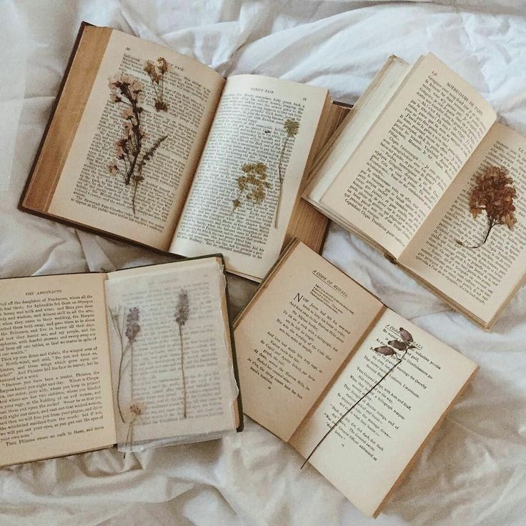 ͏ ͏͏ ͏𐙚 tweet media