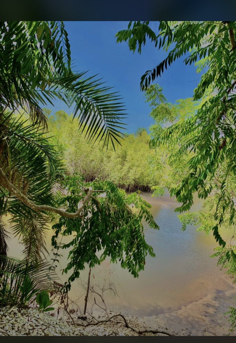 Modoukorta6's tweet image. 