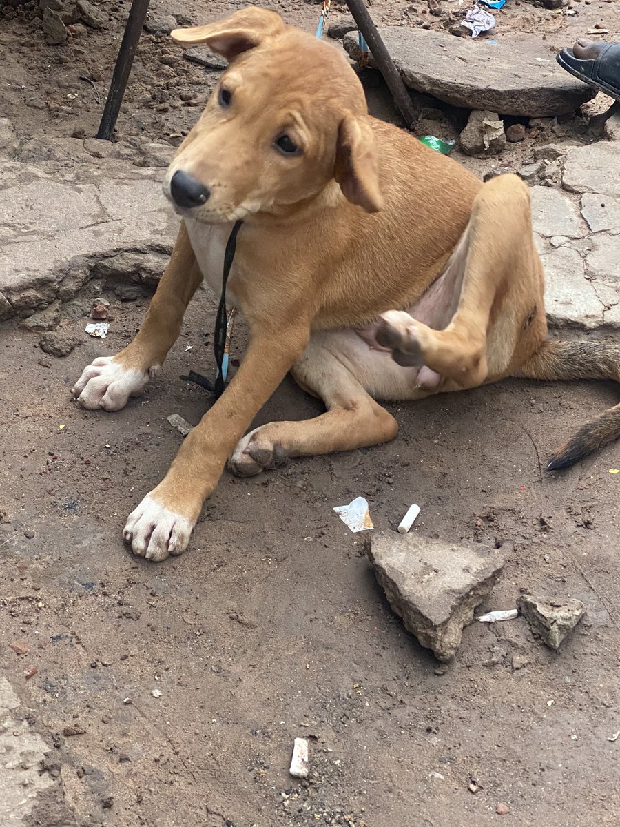 Modoukorta6's tweet image. 