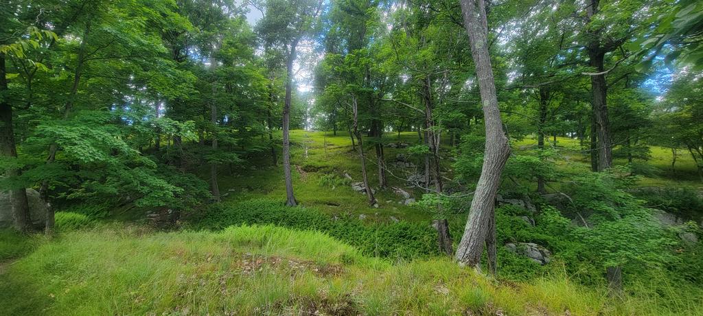 LiamHikes's tweet photo. New York, New York. What a treat it has been to be in this state. The climbs are tough, but the reward is immense. Harriman State Park is an absolute must-see, and Bear Mountain is the beautiful home of the first stretch of Appalachian Trail ever built. https://t.co/AAVJ0ygHfJ