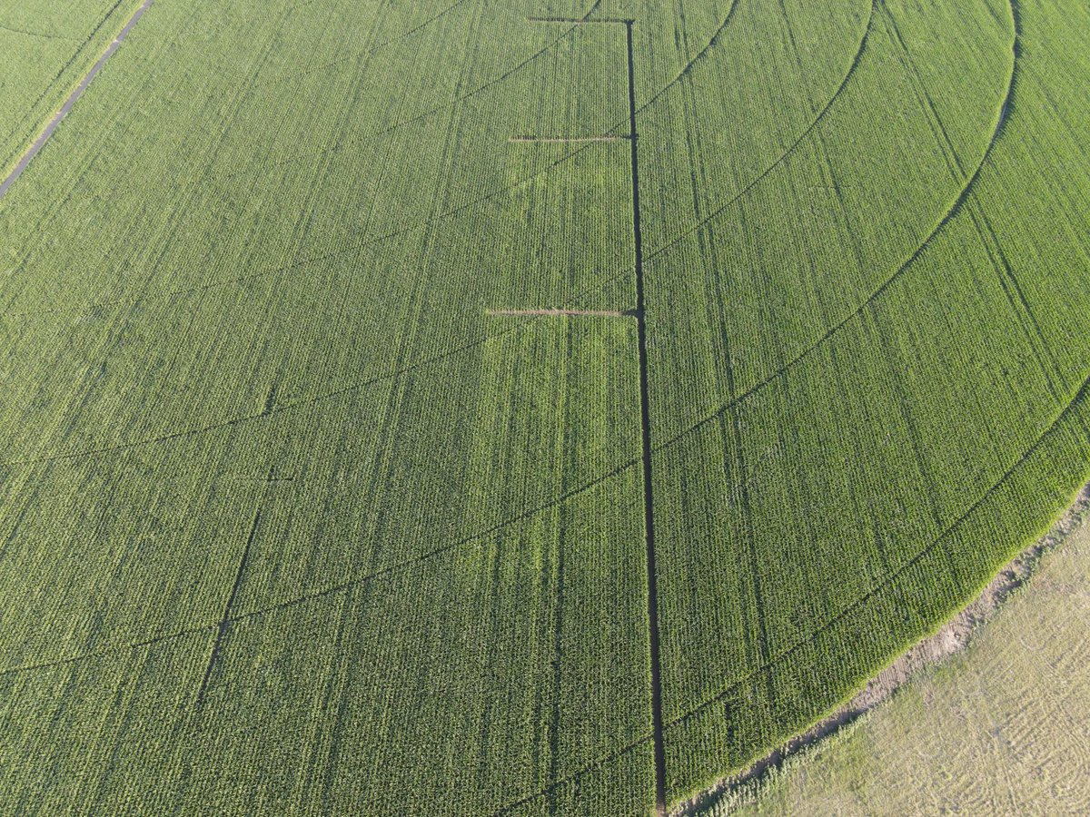 🌽 John and my sidekick, Quila 🌾 tweet media