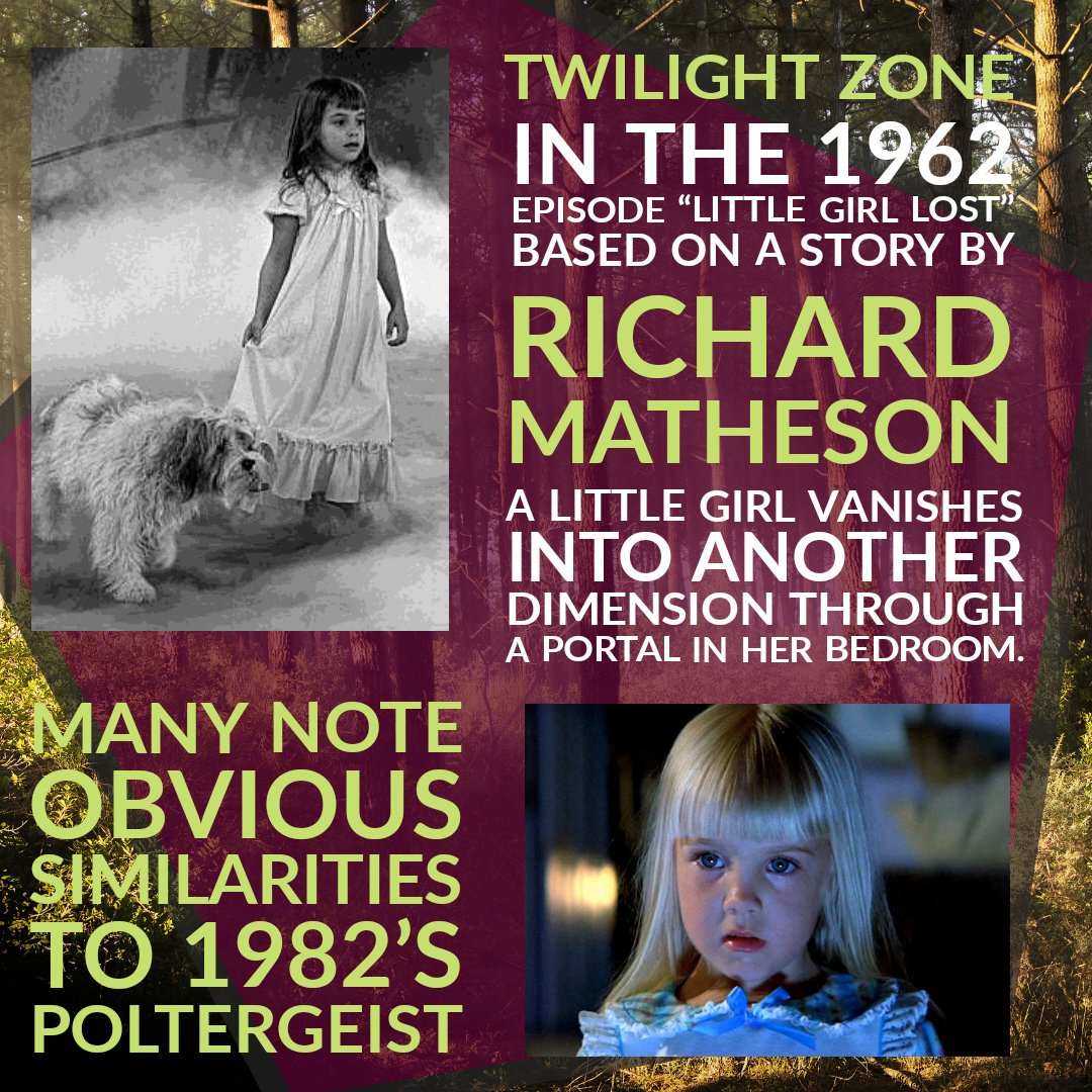 Until Night Falls tweet media