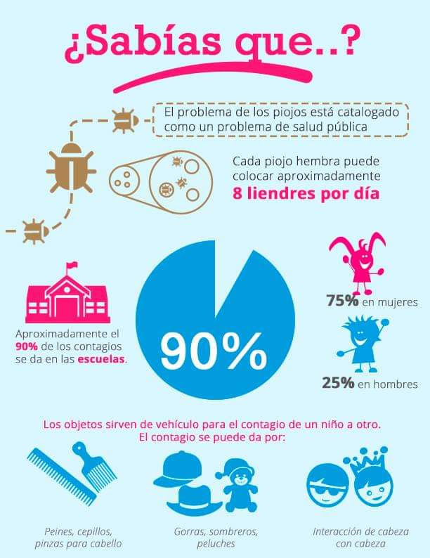 IDISA1's tweet photo. Con el regreso presencial a aulas y escuelas, lugares en los que se da el 90% de contagios...¿sabías que #Piojos y #liendres se consideran un problema de Salud Pública?

#FelizMiércoles https://t.co/bdiSPp6pkF