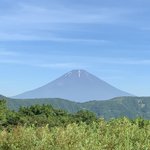 ツイートに含まれる画像