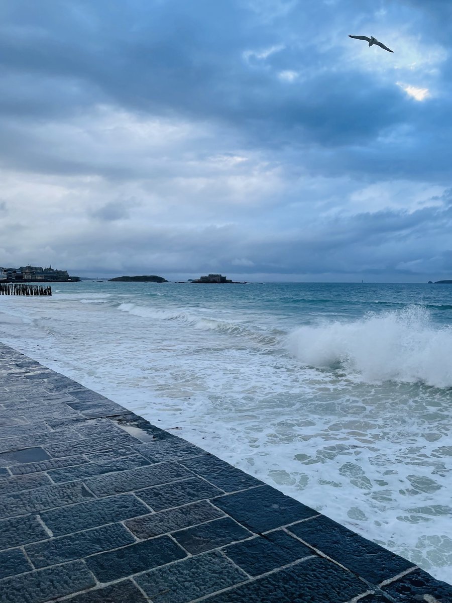 Mit Gischt und Möwe!