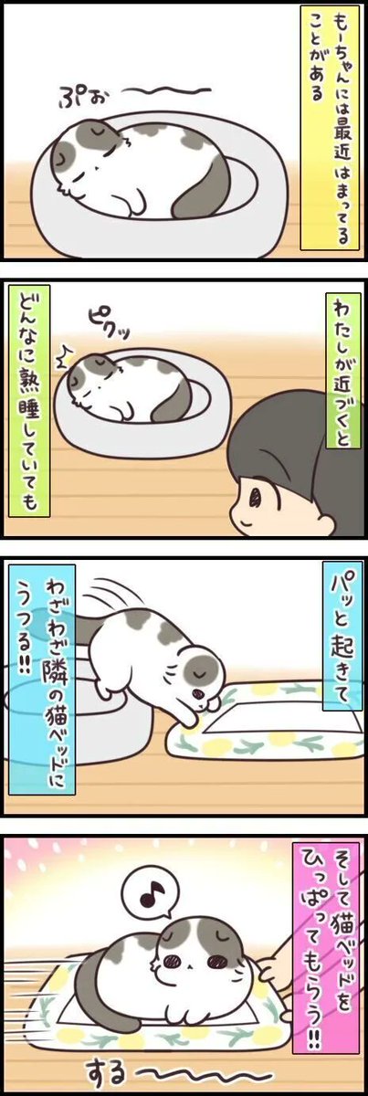 妙なマイブームがやってきた!? 猫が最近ハマっていること 【連載】もふもふスコたん#232|ねこのきもちWEB MAGAZINE https://t.co/qtMOBV8FIW