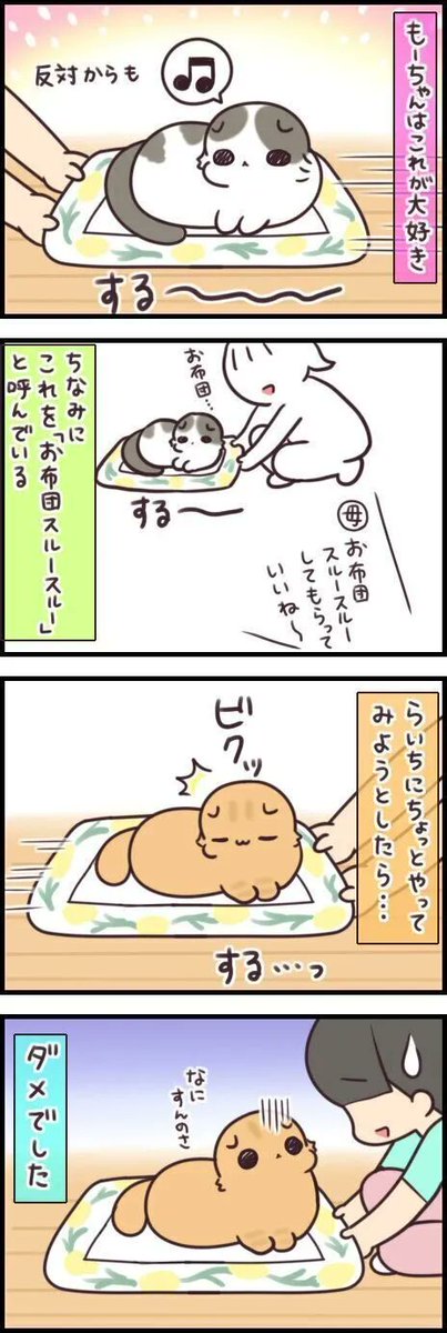 妙なマイブームがやってきた!? 猫が最近ハマっていること 【連載】もふもふスコたん#232|ねこのきもちWEB MAGAZINE https://t.co/qtMOBV8FIW