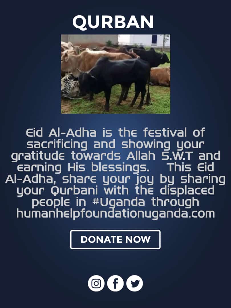 Humanhelpfound4's tweet image. 