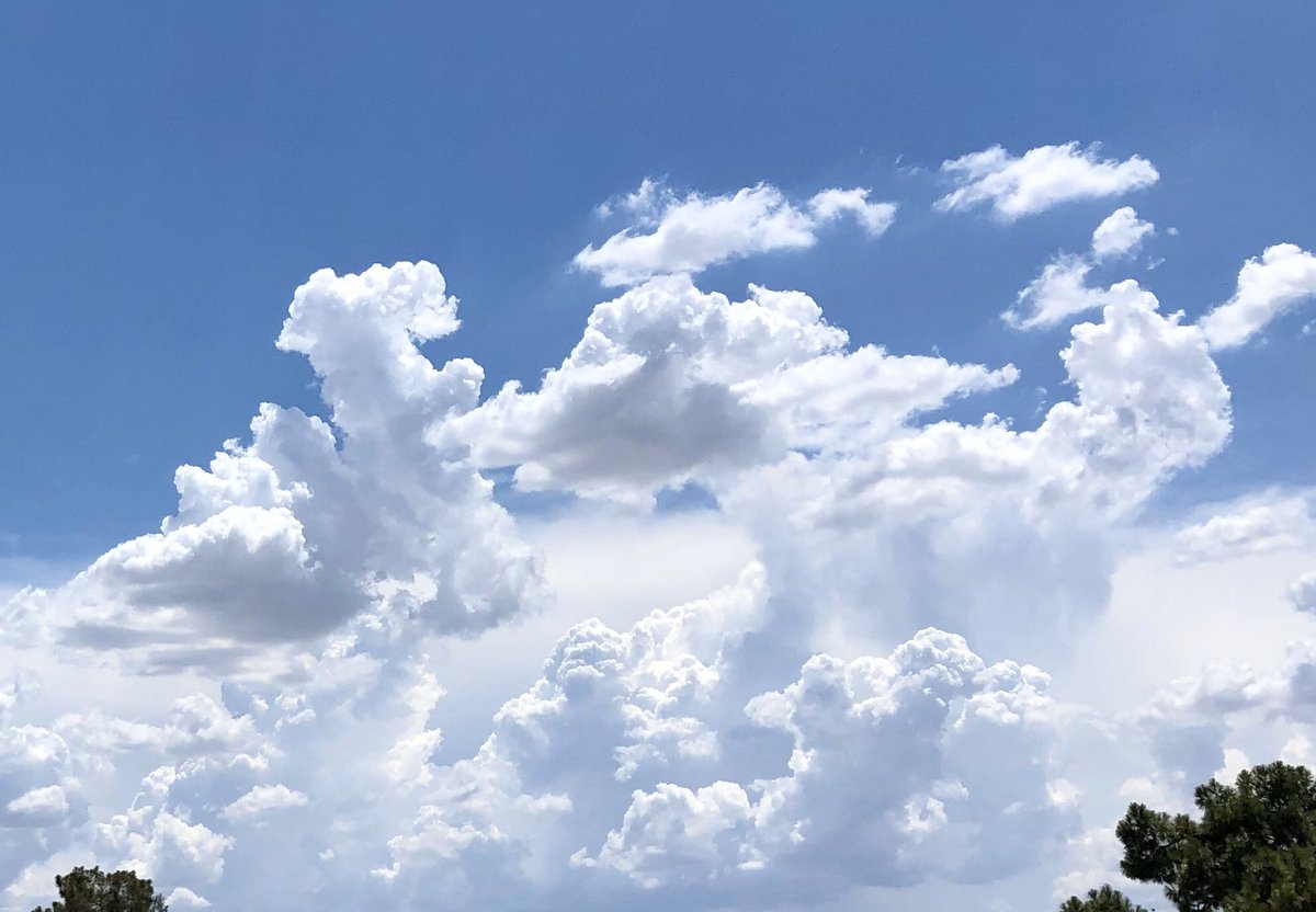 Walter_Kelley's tweet photo. Fun sky watching today. End of June sweetness! #cloudanimals #lookup #monsoon https://t.co/44wjJZpmaK
