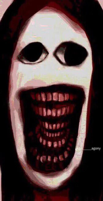 POLAAAAND tweet media