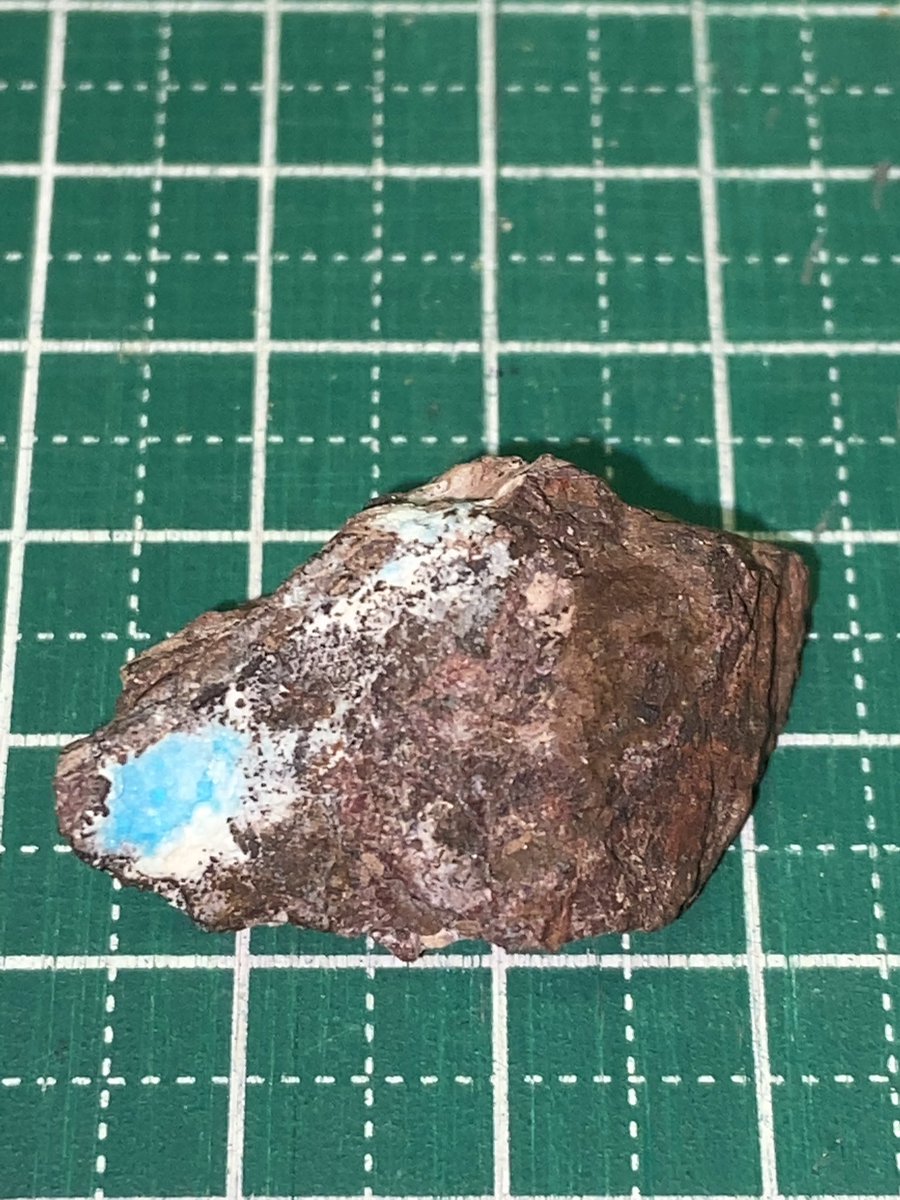 KT_GeologyClub's tweet photo. 引き続き石フリマ購入品の紹介です。
含銅アロフェン　京都府産
3匹じゃないミネラルたぬき
（@tauttotristars）様より
次回は採集会についてご報告します。 https://t.co/TcvImOAve9