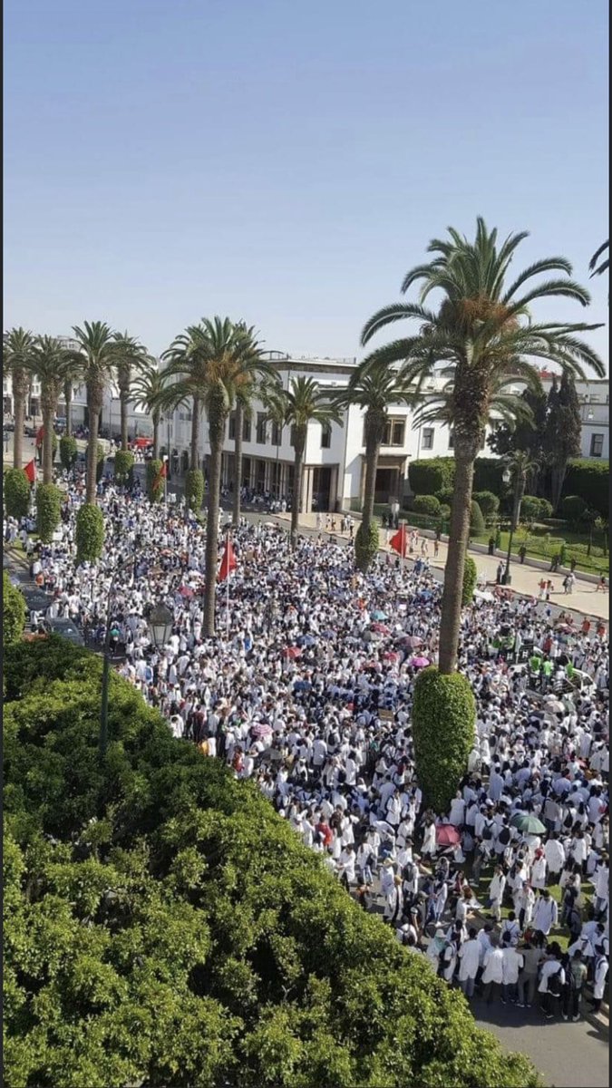 saraelhiri's tweet photo. YOUR HEALTH, OUR RESPONSIBILITY #جودة_التكوين_الطبي_خط_أحمر  let’s unite https://t.co/Sw1ns1BxIp