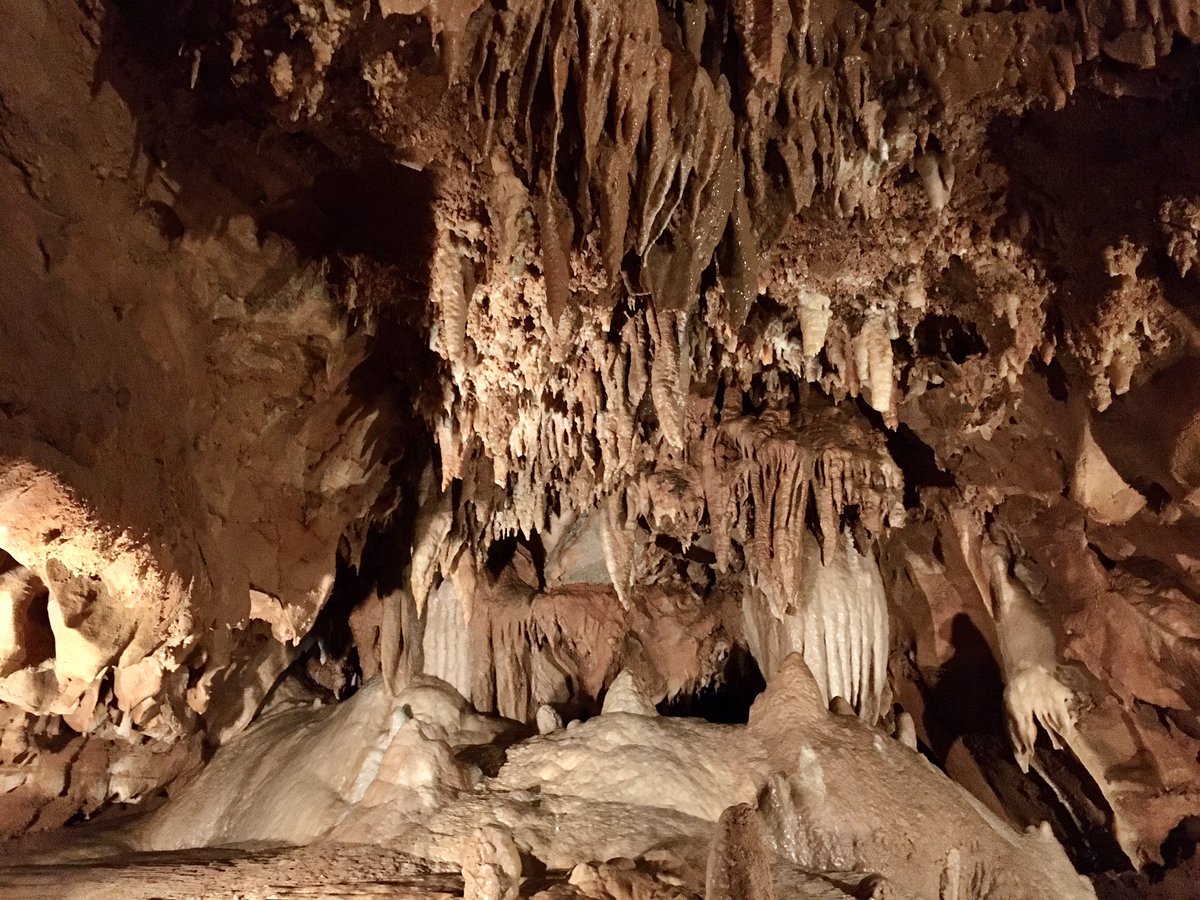 Day two of caving in Kentucky. @DiamondCaverns what an amazing place this is. Actively growing formation draping the caves. While huge flow stone formations filled the roof of the cave. #caving #kentuckycaves #adventure #caveflowers
