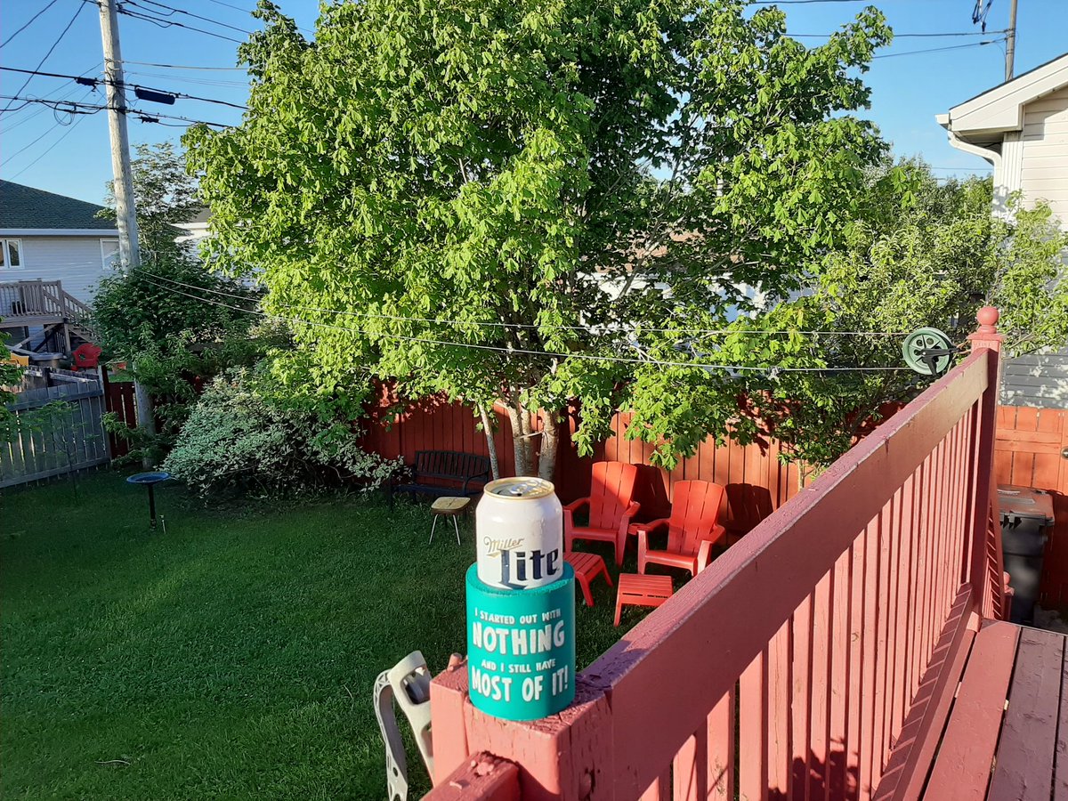 SteveDickerNL's tweet photo. Sounding like a broken record, but evenings like these are too nice to spend indoors. #DeckWeather #nlwx https://t.co/rLusJS0dsa