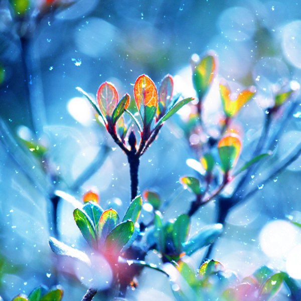 metamythian's tweet photo. When Art begins as inspired design it ends as designed inspiration!
#Nature #Art #TheArts #ArtOfDesign #DigitalArt #CulinaryArt #ArtOfProgramming
Photo by incolor16 on DeviantArt https://t.co/cXa4gDXTlk