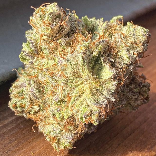 vintsweedy's tweet image. .#exotics
#showlove #show  #showsomelove  #weedshow  #weedlover #gethigh #cannabiscommunity  #cannabis #cannabisculture  #legal  #legalizeweed #usaweed #weedporn #weed #weedlife #indiaweed #ukweed #420  #dank #dankmemesdaily  #cbd #cbdhealth  #cbdproducts  #cbdoil #thc #thcinfuse