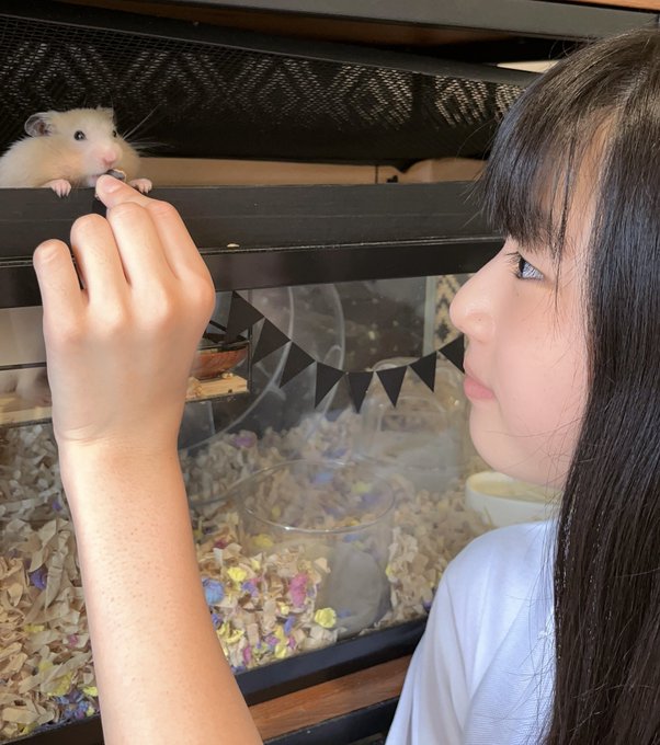 Twitterのコスプレ画像38