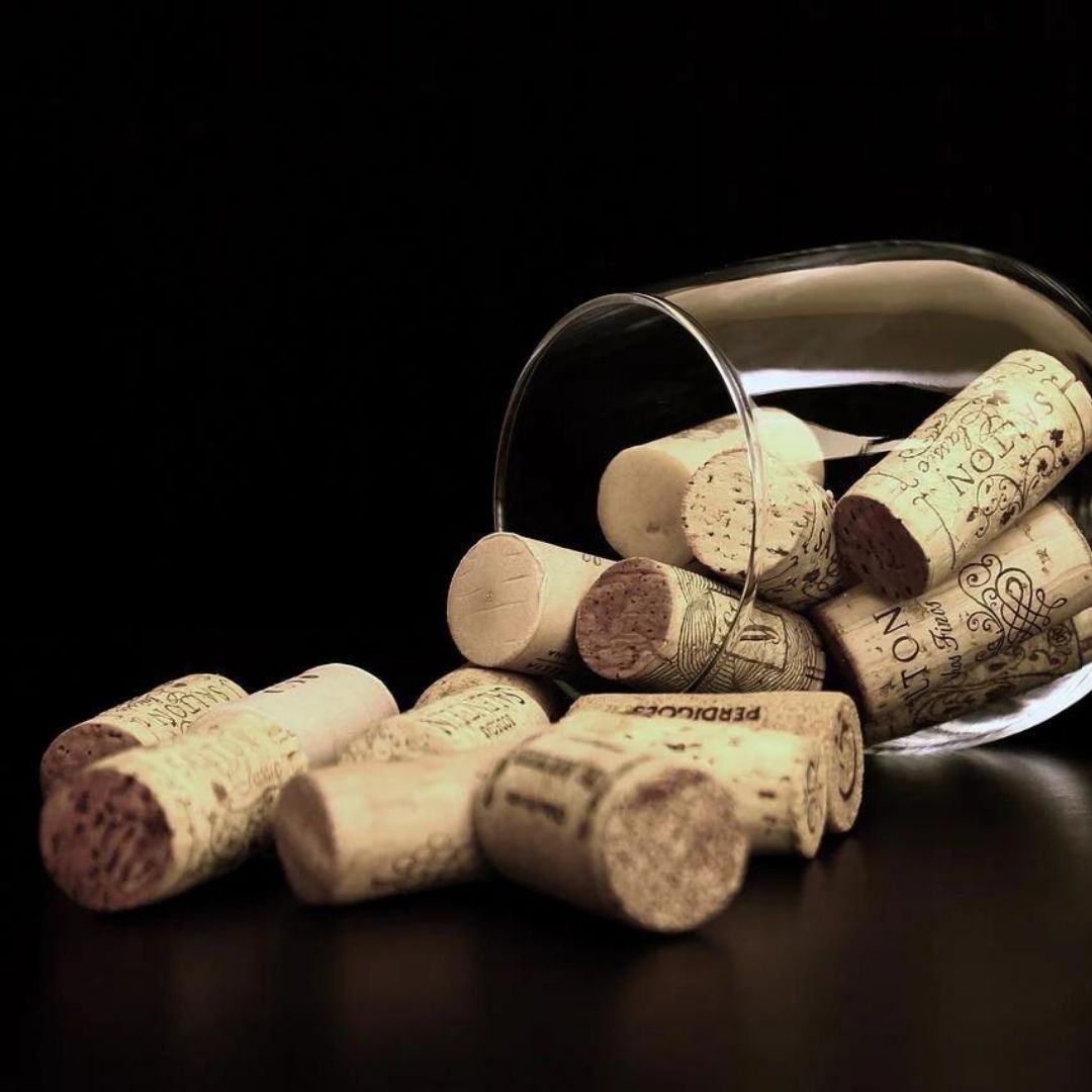 Poné a prueba tus sentidos con el arte del maridaje. Recomendamos combinar los platos con vinos de nuestra selección para brindar a nuestros comensales la mejor experiencia.

Reservas por WhatsApp: +54 9 11 3559-9199.

#parrillaargentina #restaurant #PuertoMadero #carneargentina