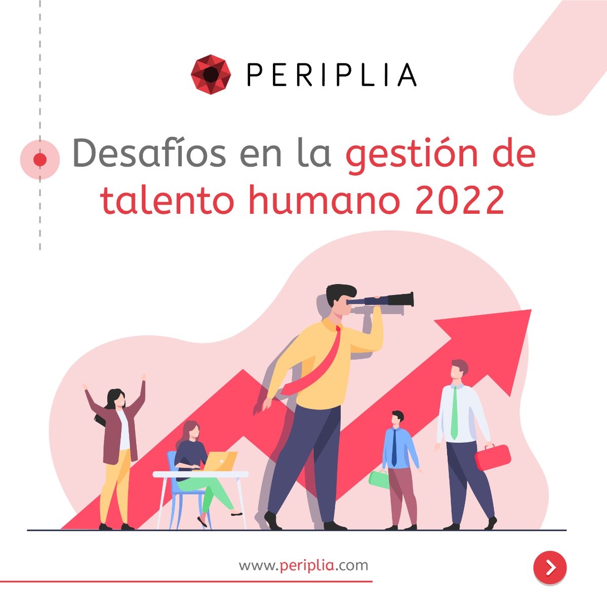 Periplia tweet media