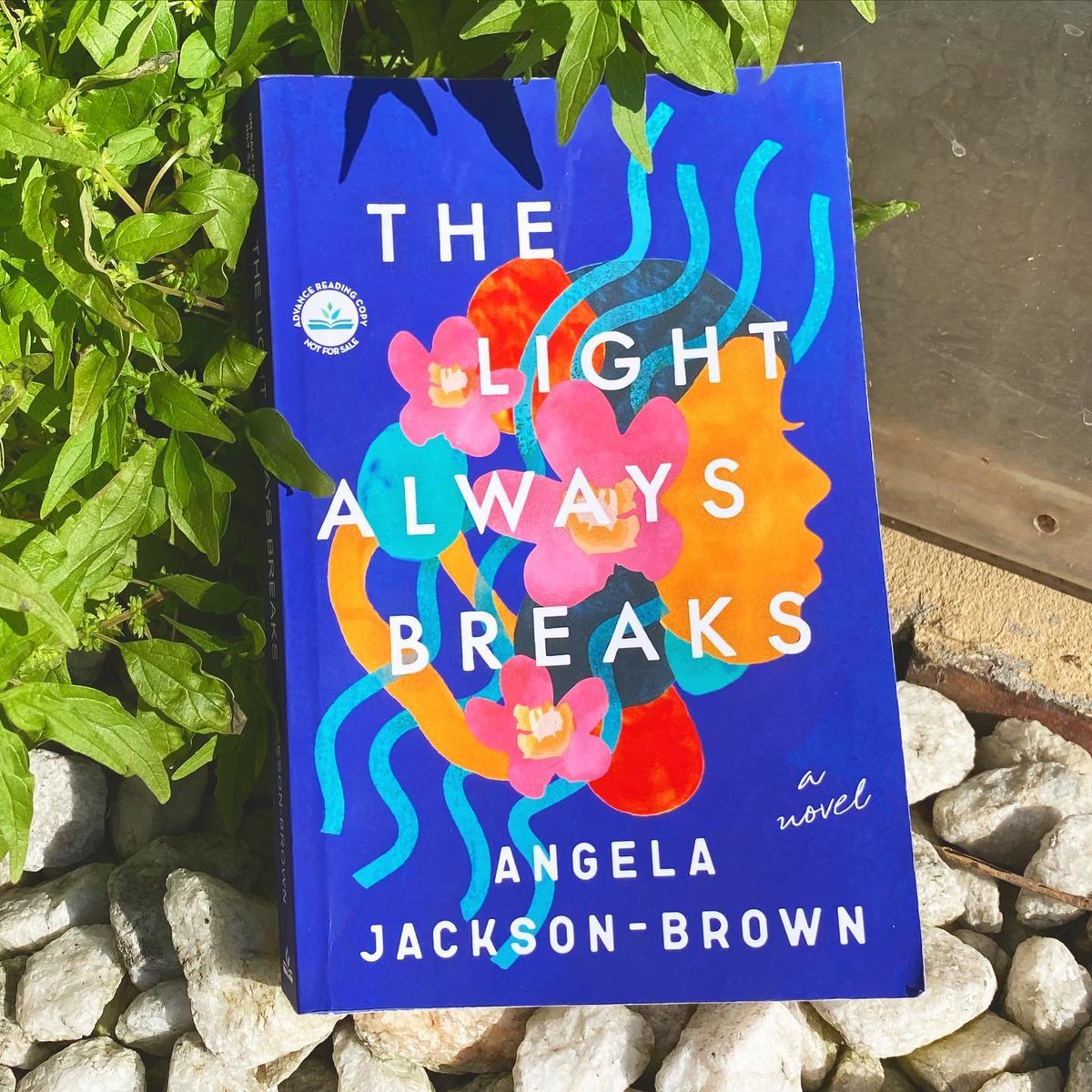 Just read this ARC of Angela Jackson-Brown's new book #TheLightAlwaysBreaks. It was powerful and heartwrenching. The book comes out next week (July 5) you can pre-order it now. 

angelajacksonbrown.com/the-light-alwa…