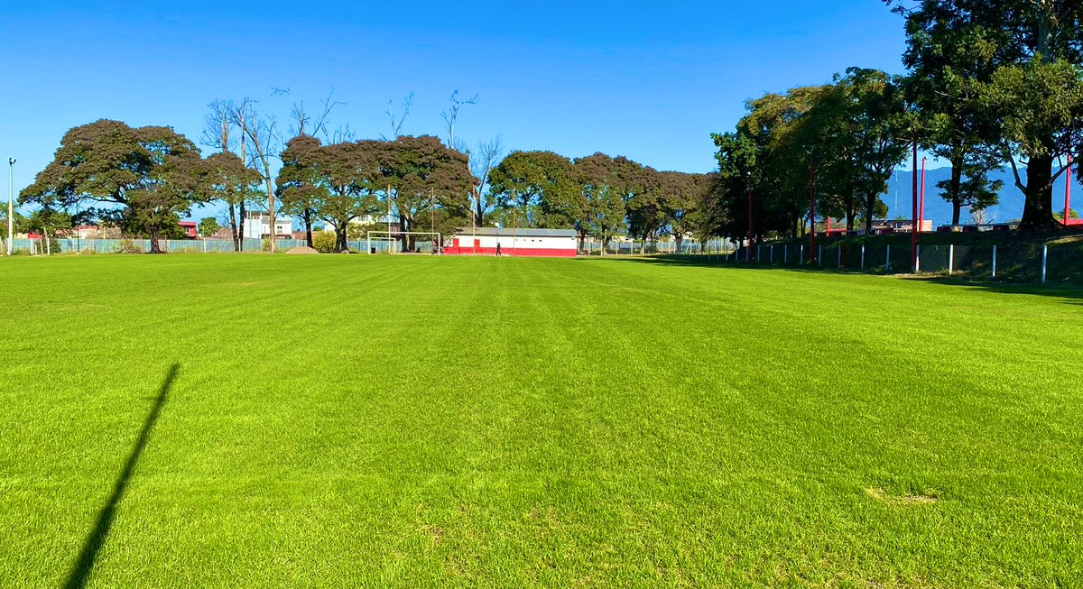 🔴⚪#Institucional 

Una cancha más 🏟💪🏽

Seguimos reacondicionando los campos de juego de nuestro complejo. En esta oportunidad, avanzamos a la etapa final de restauración de la cancha que habitualmente utilizan las divisiones formativas.

#VamosCiudadela 🇦🇹