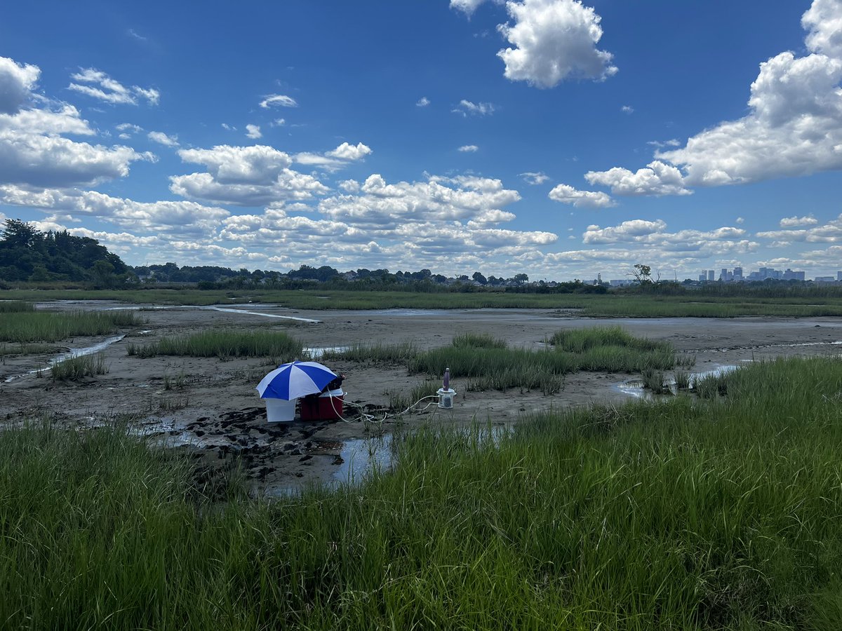 CoastalShare's tweet photo. Back on the marsh testing our ultra-portable #greenhousegas sensors- now with methane!! #bluecarbon #sensorshare https://t.co/b8KSy08F2d