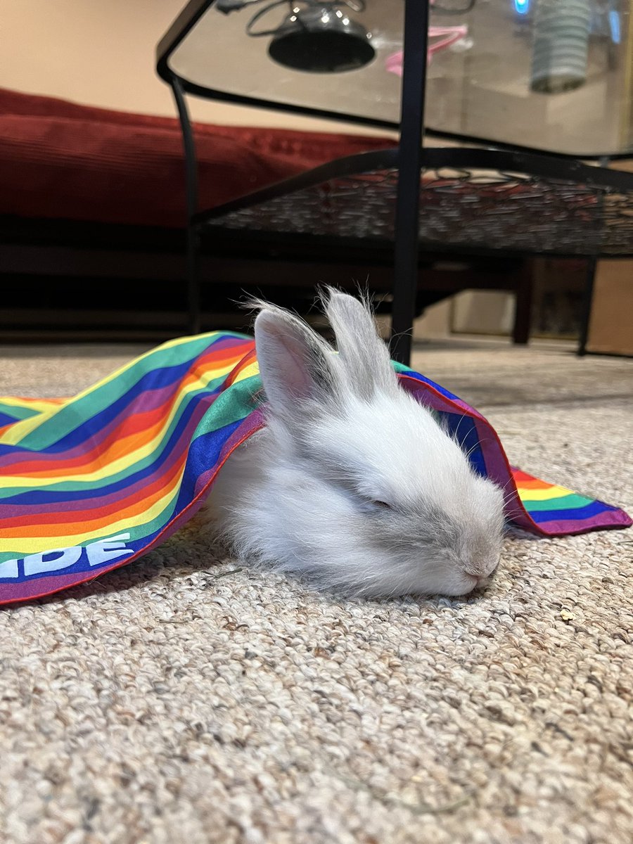 Katherine Chung, MD (@pikatchungmd) on Twitter photo Someone is sad that it’s almost end of Pride Month. But Wobbles wants to remind everyone that we should love each other every day of the year regardless.
#pridepet <a href="/sbradiologyres/">stonybrookradres</a> <a href="/StonyBrookMed/">Stony Brook Medicine</a> Someone is sad that it’s almost end of Pride Month. But Wobbles wants to remind everyone that we should love each other every day of the year regardless.
#pridepet <a href="/sbradiologyres/">stonybrookradres</a> <a href="/StonyBrookMed/">Stony Brook Medicine</a>