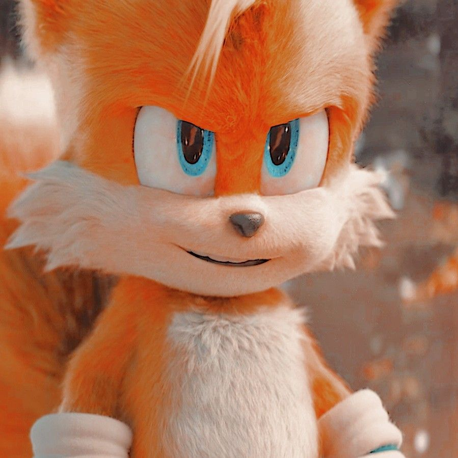 Tails ( Sonic O Filme 2 )  Hedgehog movie, Tails sonic the