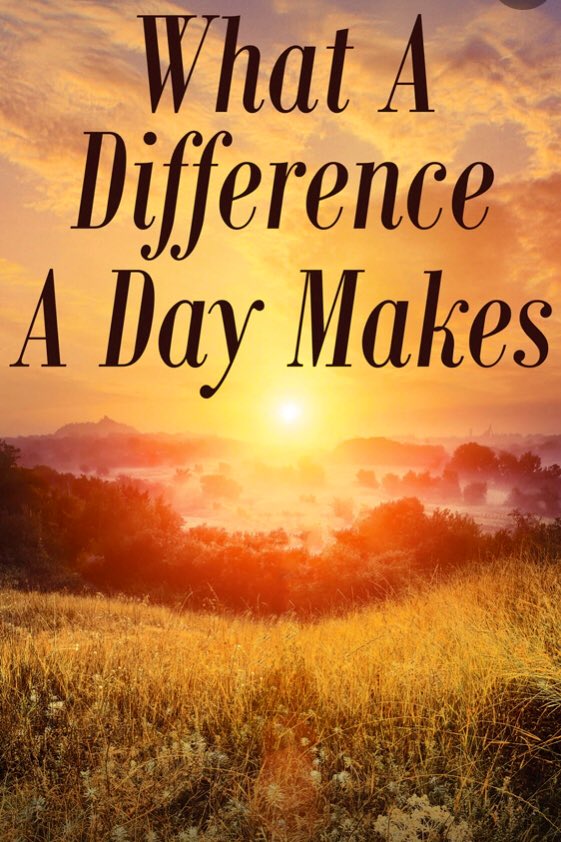 Andrew mark Stone (Starofpineapple dance studios) tweet media