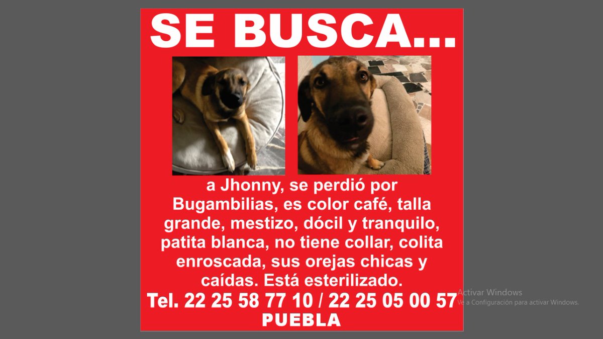 GUADALUPEMARTINEZ8 tweet media