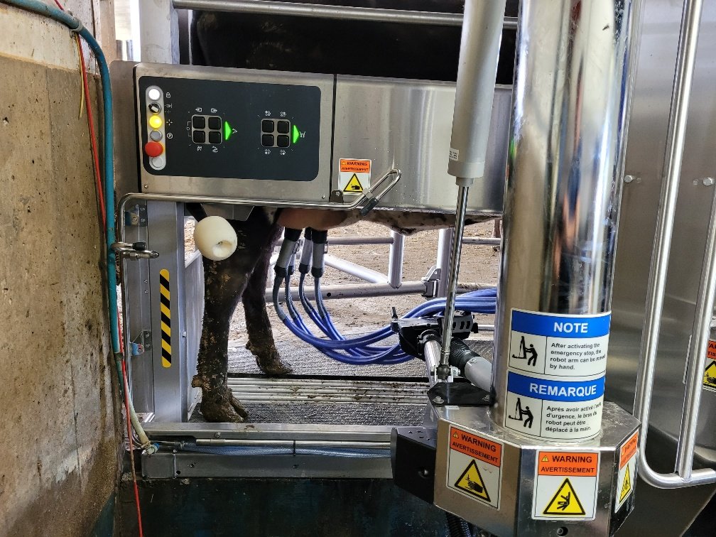In the span of 8 hours our hard working installation team was able to swap out a VMS classic with this brand new <a href="/DeLavalCanada/">DeLaval Canada</a> V300 at Gilted Edge! Great work team and congratulations to Gilt Edge on their start up! #DairyDoneWell #Ontag #farming 📷 <a href="/NeilLewis9/">Neil Lewis</a> <a href="/cdmcintosh70/">Chris McIntosh</a>