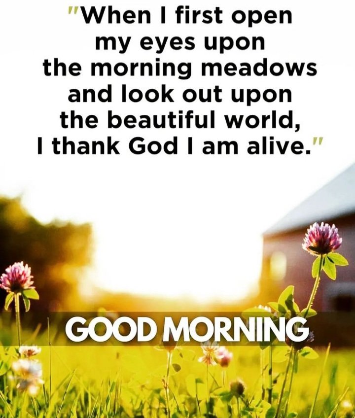 Good morning and have pleasant Thursday Tweeter Friends