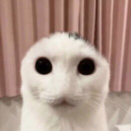 slimedodemon's tweet photo. @m0nsternom @cooll86553956 @Ron_WemenHeter @numotwt @TheAnything_Bot https://t.co/YKLIYKj0aN