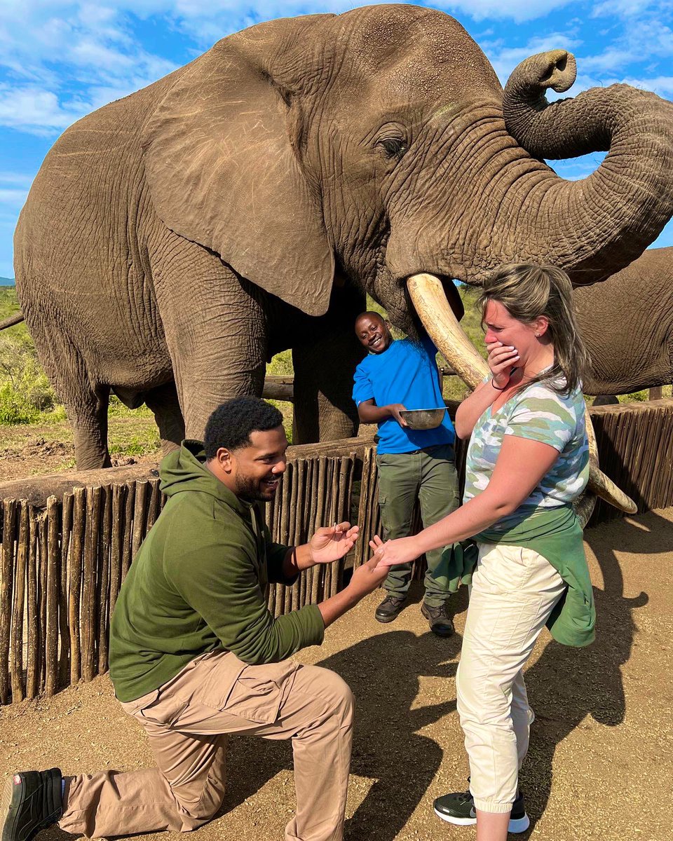 4bo0m's tweet photo. Oh yeah we got engaged in Africa in front of a GIANT elephant named Rambo. No biggie. https://t.co/RxUJ1OmPdr